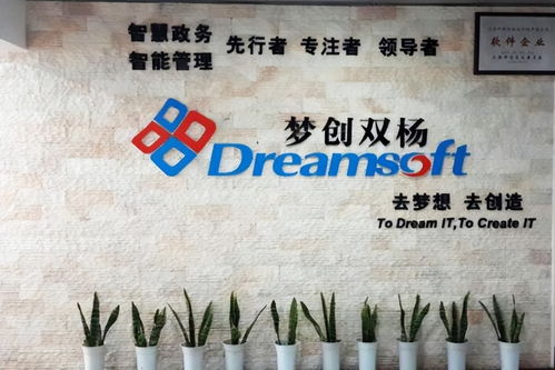 夢創(chuàng)雙楊沖刺上交所 計劃募資8億，科技推廣和應(yīng)用服務(wù)成焦點