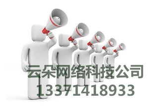 云朵網(wǎng)絡(luò) 專業(yè)SEO優(yōu)化外包服務(wù)，科技賦能網(wǎng)絡(luò)營(yíng)銷推廣